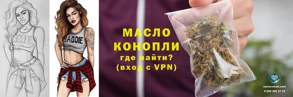 сатива Абинск