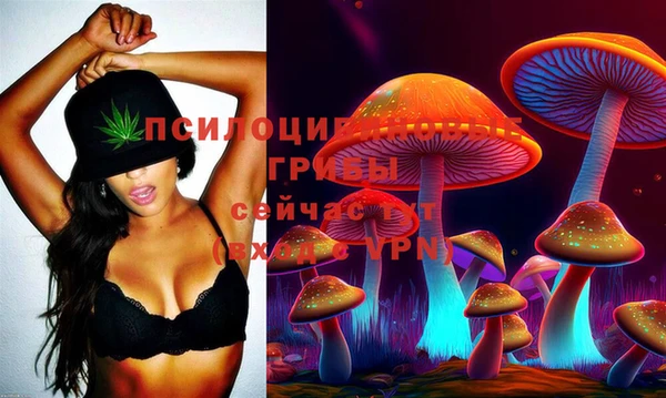 сатива Абдулино
