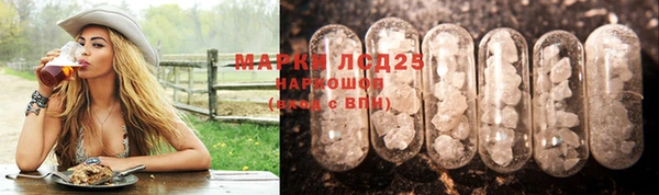 крисы Няндома